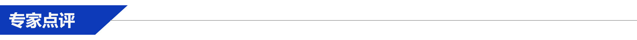 專(zhuān)家點(diǎn)評.jpg